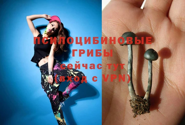 спайс Армянск