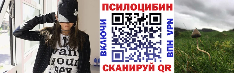 Псилоцибиновые грибы Psilocybine cubensis  закладка  Спасск-Рязанский 